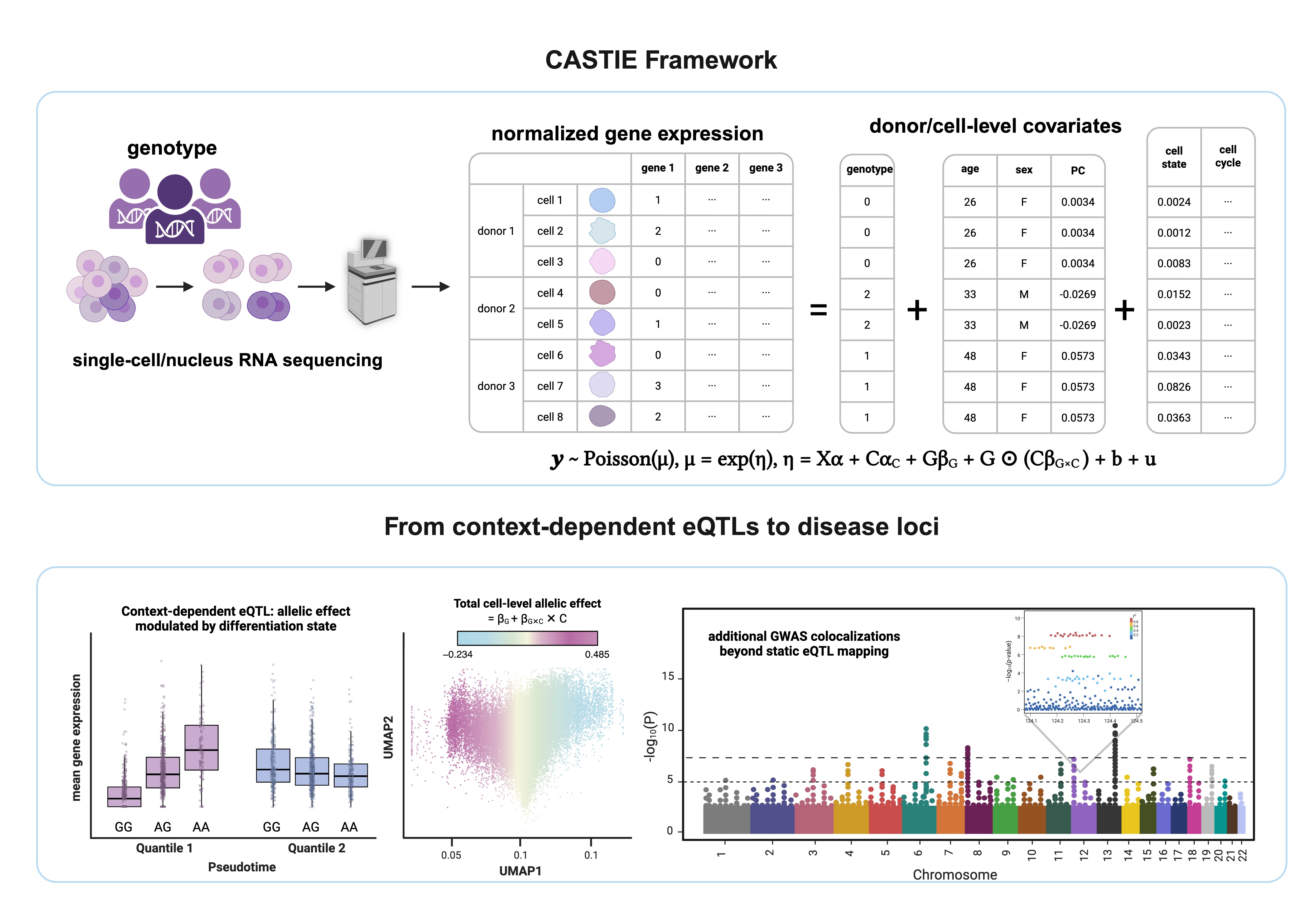 CASTIE overview
