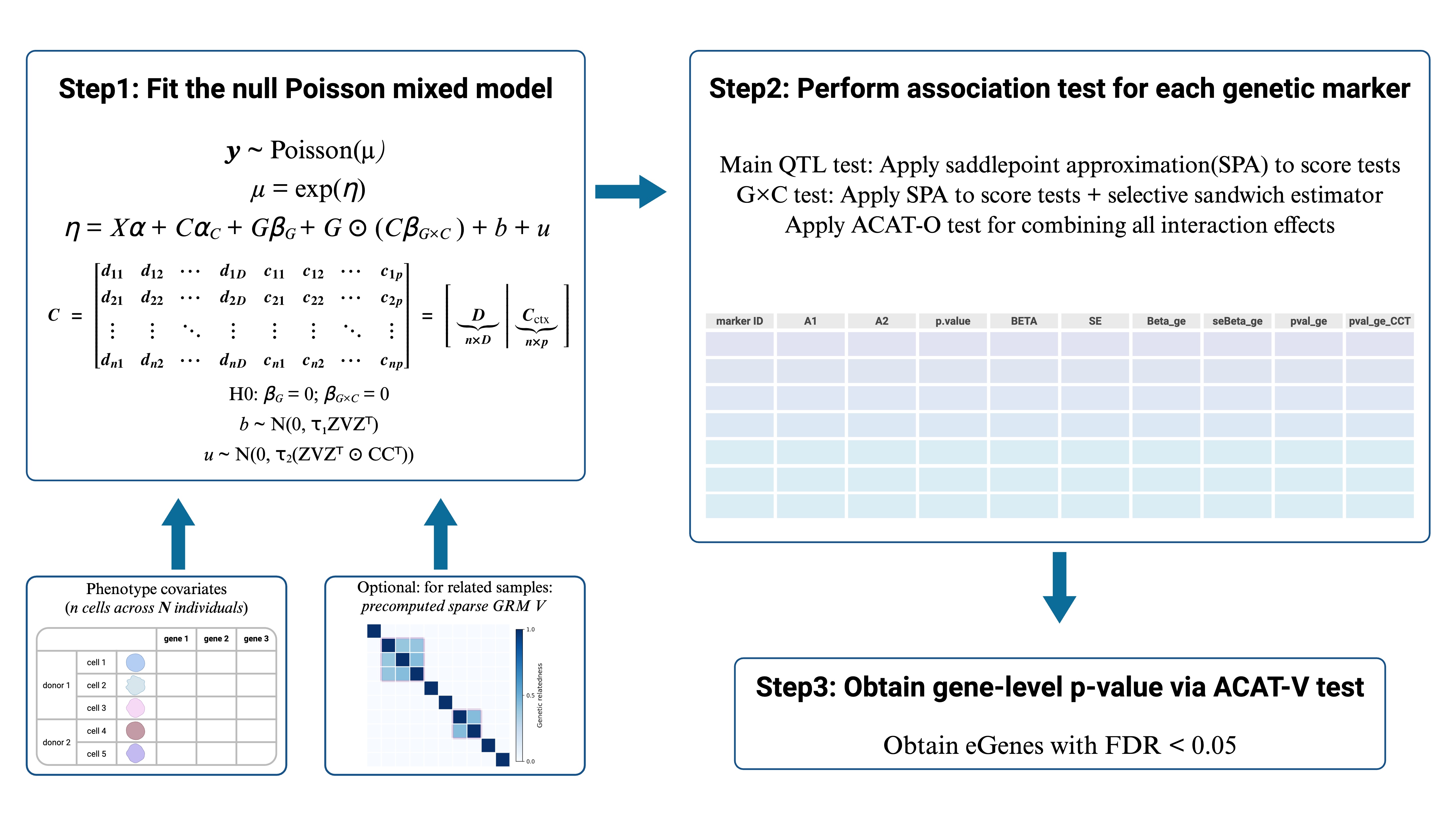 CASTIE workflow overview